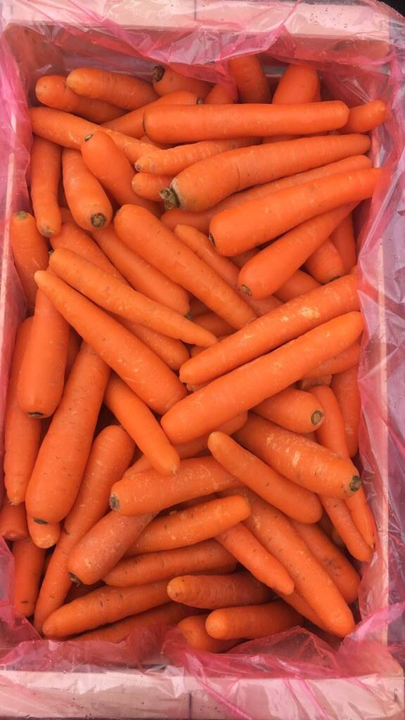 Venez vite acheter vos carottes de Provence à Ma Ferme vers Marseille