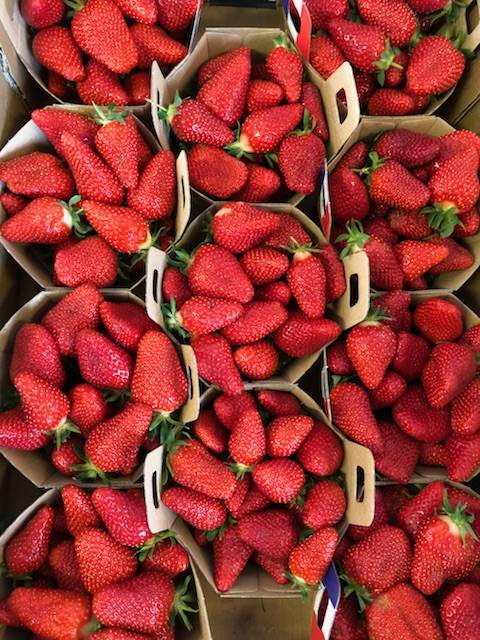Arrivage des fraises de Provence à Ma Ferme proche d'Aubagne