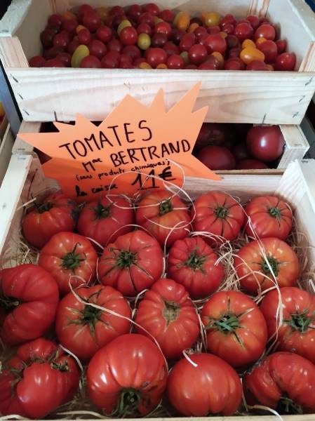 Les tomates de madame Betrand ! 