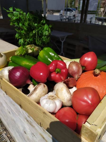 Panier de fruits et légumes Bio à Aix en Provence