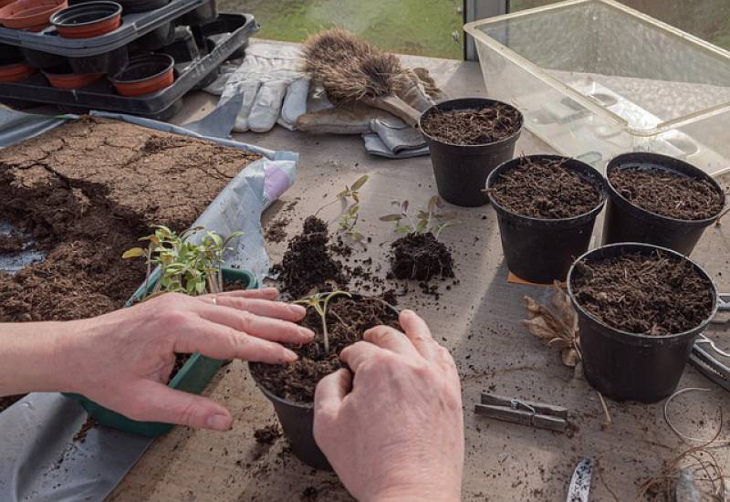 Terreau : comment choisir le meilleur et l'utiliser au jardin